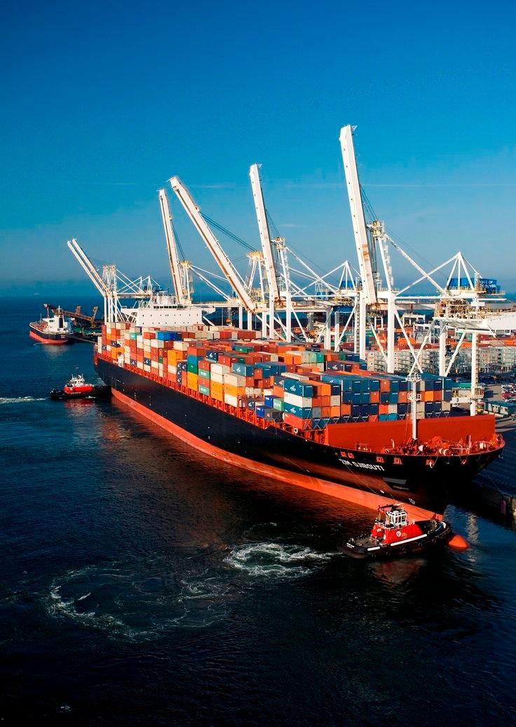 Mei Lin Zhang, Head of Ocean Freight Department